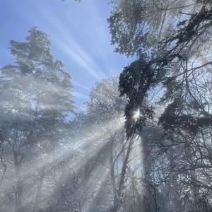 精产国品一二三产区99771
